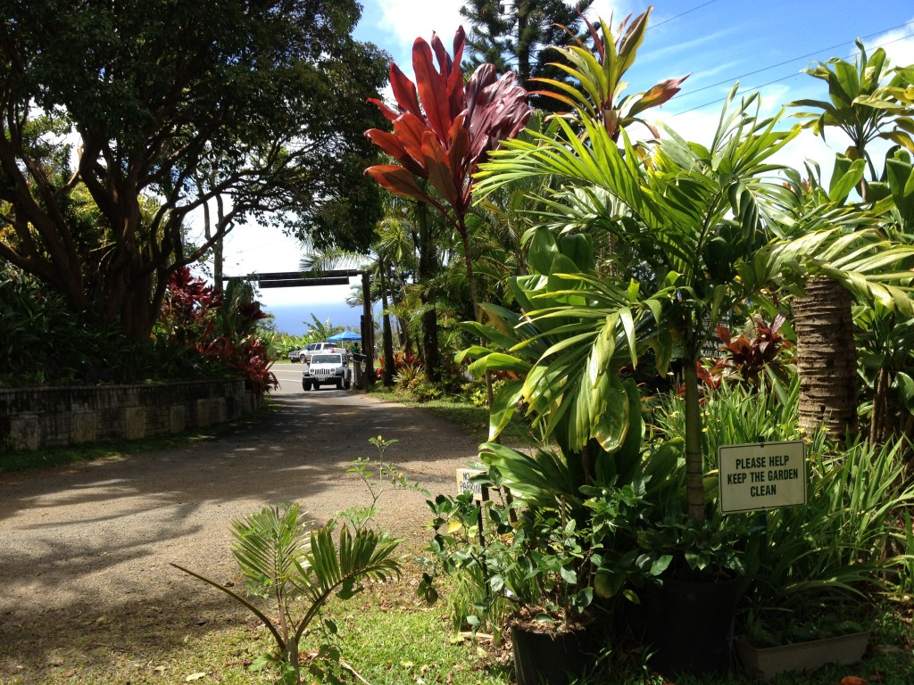 Entrance to Garden Gourmet Cafe/Garden of Eden in Hana