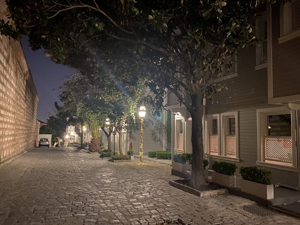 Tree-lined cobblestone street at night, with townhouses to the right