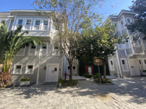 Grey Ottoman townhouse buildings flanked by trees